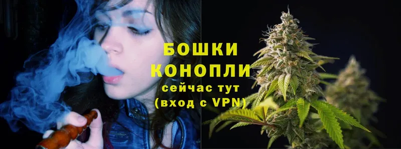 Бошки марихуана OG Kush  omg tor  Чкаловск 